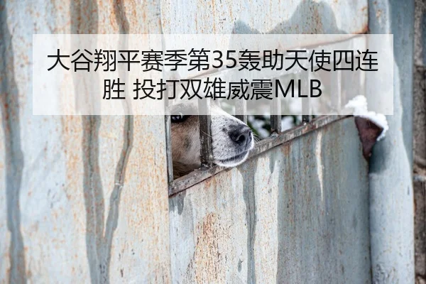 大谷翔平赛季第35轰助天使四连胜 投打双雄威震MLB