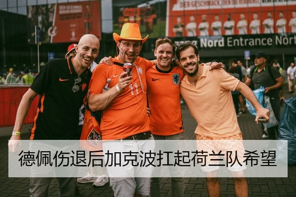 德佩伤退后加克波扛起荷兰队希望