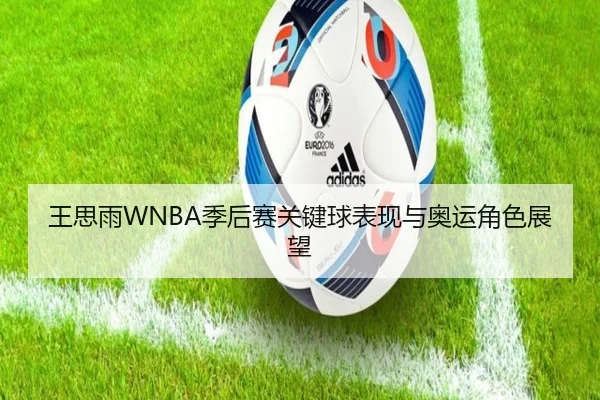 王思雨WNBA季后赛关键球表现与奥运角色展望
