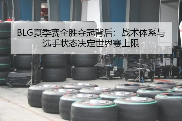 xia-ji-sai-quan-sheng-duo-guan-bei-hou-zhan-shu-ti-xi-yu-xuan-shou-zhuang-tai-jue-ding-shi-jie-sai-shang-xian-3-389.jpg